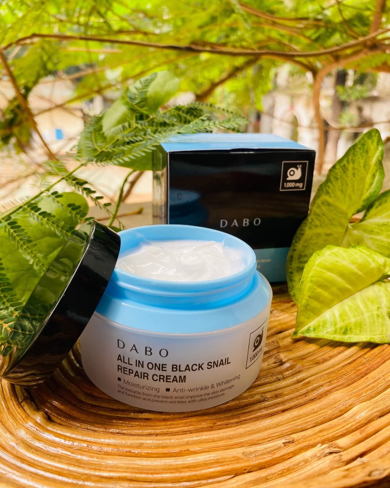 DABO- All in one black snail